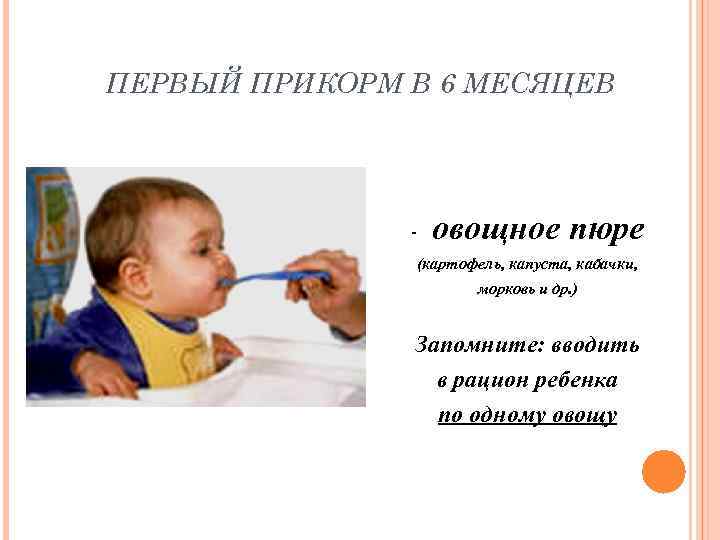 ПЕРВЫЙ ПРИКОРМ В 6 МЕСЯЦЕВ    -  овощное пюре  