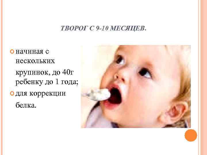    ТВОРОГ С 9 -10 МЕСЯЦЕВ. начиная с  нескольких  крупинок,