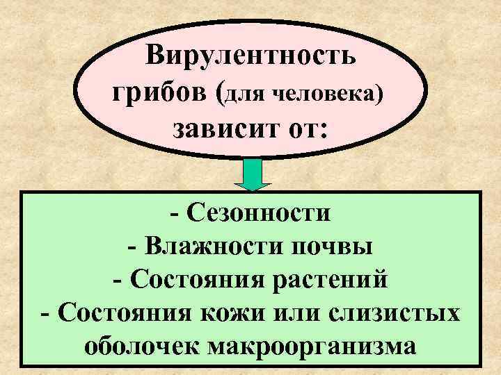   Вирулентность грибов (для человека)   зависит от:   - Сезонности