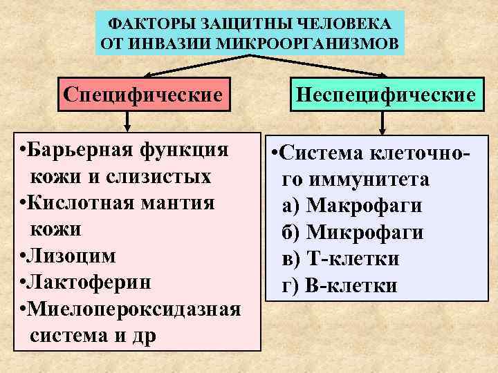   ФАКТОРЫ ЗАЩИТНЫ ЧЕЛОВЕКА  ОТ ИНВАЗИИ МИКРООРГАНИЗМОВ Специфические  Неспецифические  •