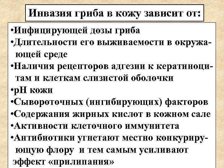   Инвазия гриба в кожу зависит от:  • Инфицирующей дозы гриба •