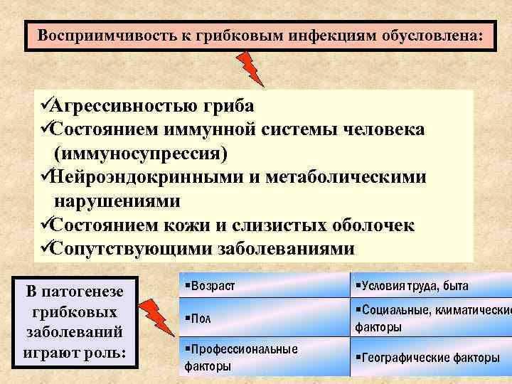  Восприимчивость к грибковым инфекциям обусловлена: üАгрессивностью гриба üСостоянием иммунной системы человека  (иммуносупрессия)