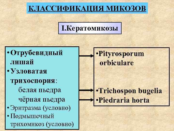  КЛАССИФИКАЦИЯ МИКОЗОВ    I. Кератомикозы  • Отрубевидный  •