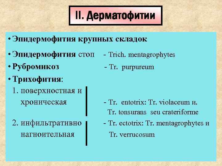    II. Дерматофитии • Эпидермофития крупных складок • Эпидермофития стоп - Trich.