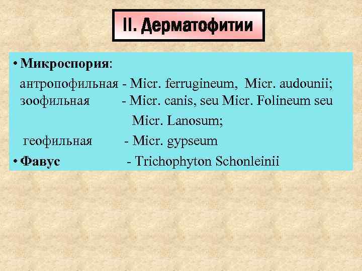    II. Дерматофитии • Микроспория:  антропофильная - Micr. ferrugineum, Micr. audounii;