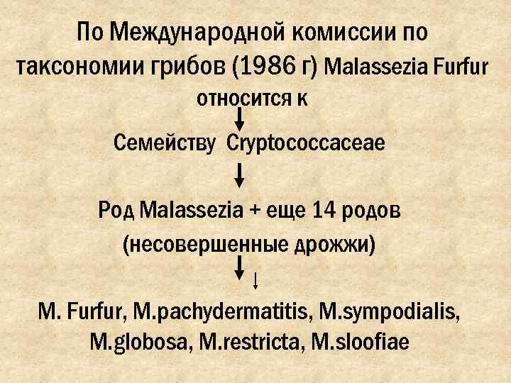  По Международной комиссии по таксономии грибов (1986 г) Malassezia Furfur   
