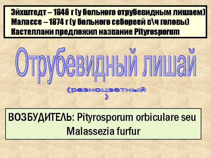 Эйхштедт – 1846 г (у больного отрубевидным лишаем) Малассе – 1874 г (у больного