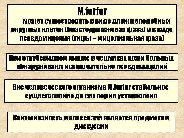     M. furfur – может существовать в виде дрожжеподобных округлых клеток