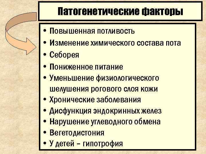   Патогенетические факторы • Повышенная потливость • Изменение химического состава пота • Себорея