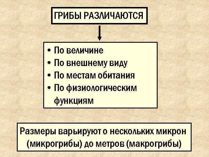   ГРИБЫ РАЗЛИЧАЮТСЯ   • По величине  • По внешнему виду