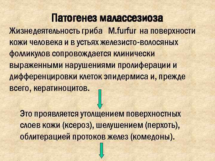    Патогенез малассезиоза Жизнедеятельность гриба M. furfur на поверхности кожи человека и