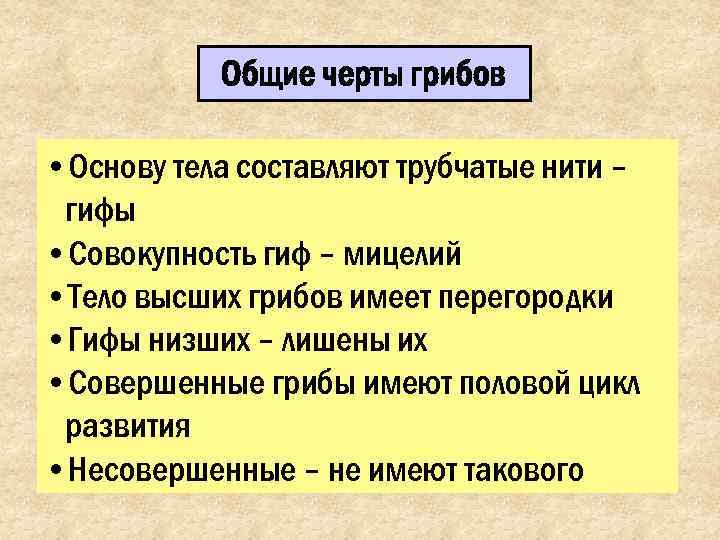   Общие черты грибов  • Основу тела составляют трубчатые нити – гифы