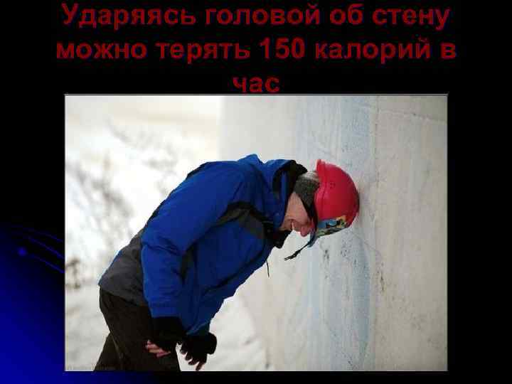 Ударяясь головой об стену можно терять 150 калорий в  час 