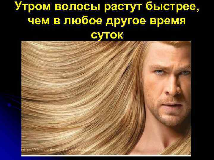 Утром волосы растут быстрее,  чем в любое другое время  суток 