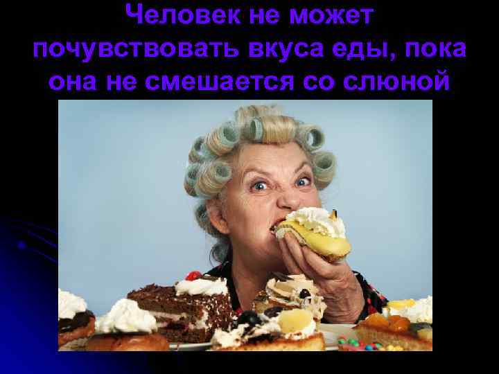  Человек не может почувствовать вкуса еды, пока она не смешается со слюной 