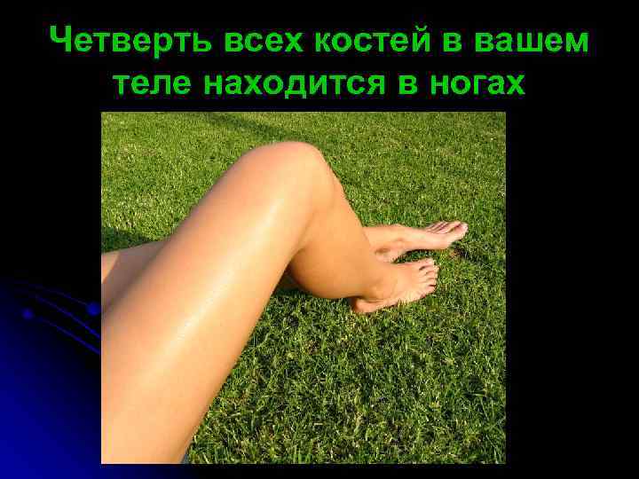 Четверть всех костей в вашем  теле находится в ногах 