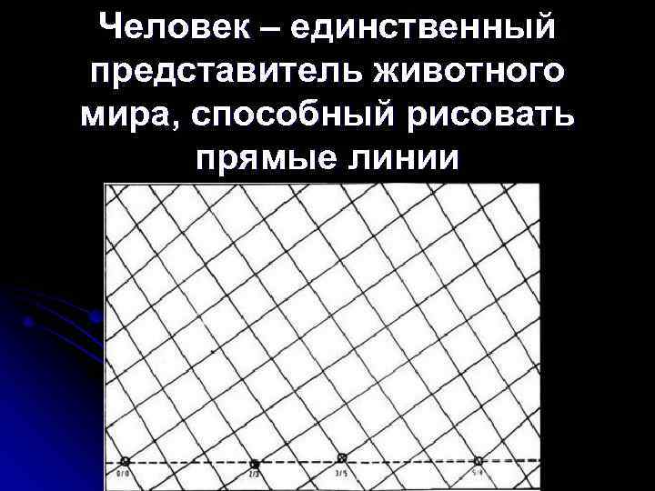  Человек – единственный представитель животного мира, способный рисовать  прямые линии 