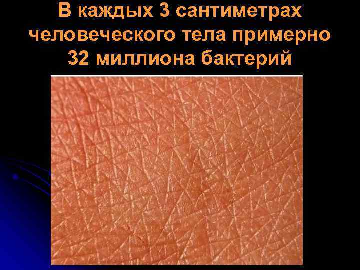  В каждых 3 сантиметрах человеческого тела примерно  32 миллиона бактерий 