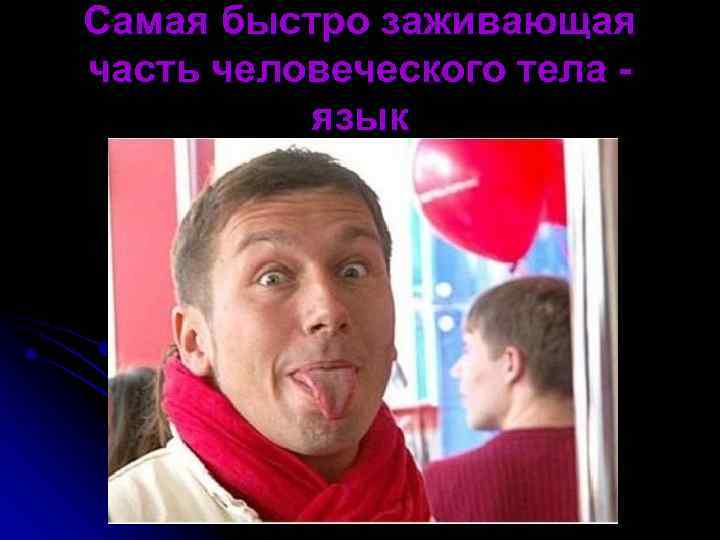 Самая быстро заживающая часть человеческого тела -  язык 