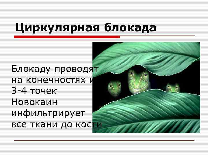 Циркулярная блокада  Блокаду проводят на конечностях из 3 -4 точек Новокаин инфильтрирует все