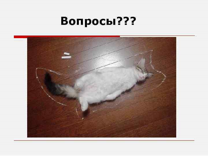 Вопросы? ? ? 