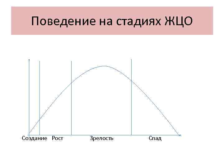  Поведение на стадиях ЖЦО Создание Рост  Зрелость  Спад 