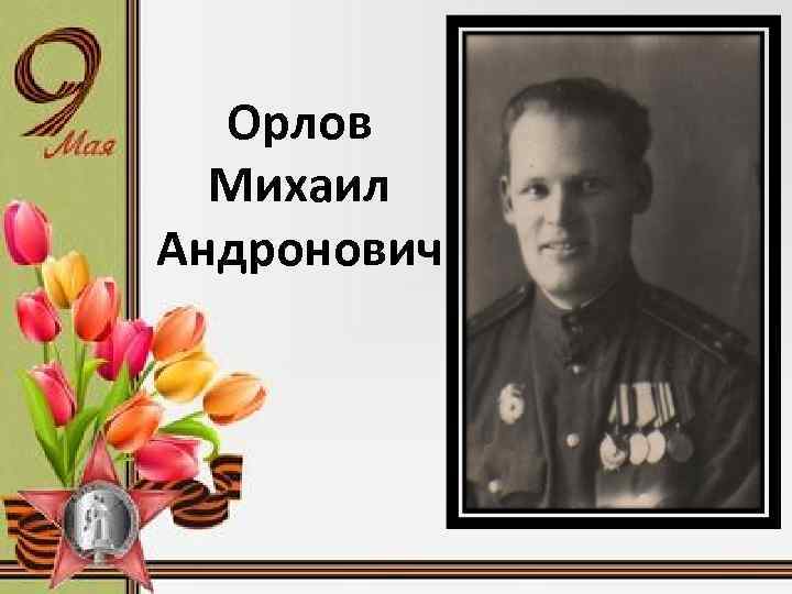 Орлов Михаил Андронович 