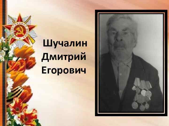 Шучалин Дмитрий Егорович 