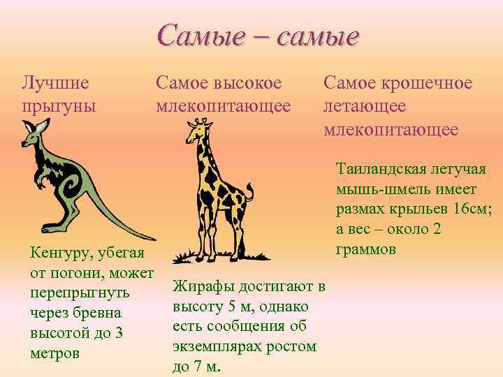 Вес млекопитающих. Высшие млекопитающие. Рост млекопитающих. Млекопитающие задания. Высшие млекопитающие примеры.