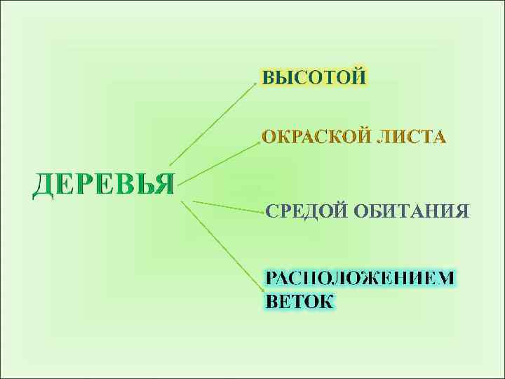 СРЕДОЙ ОБИТАНИЯ 