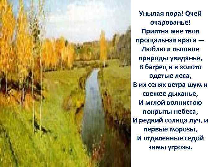 Стихотворение унылое. Люблю природы увяданье стихотворение. Унылая пора очей очарованье. Люблю я пышное природы увяданье в багрец. Стих люблю я пышное природы увяданье.