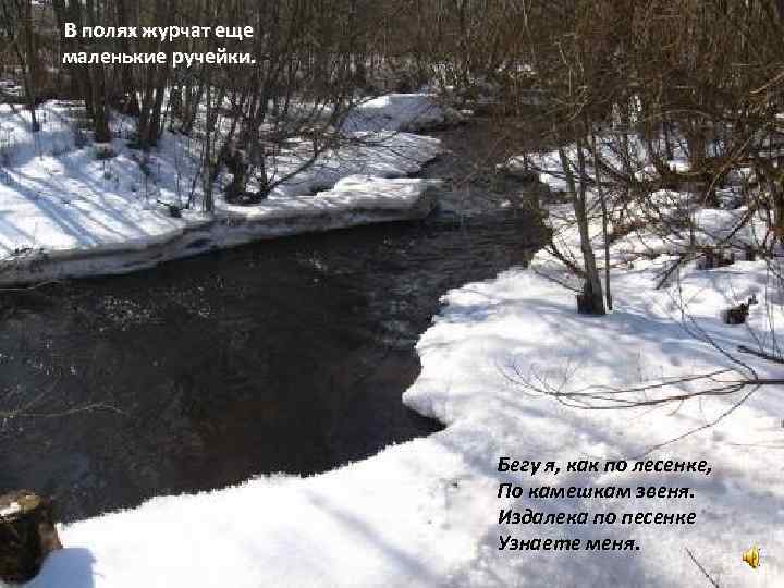 В полях журчат еще маленькие ручейки.      Бегу я, как