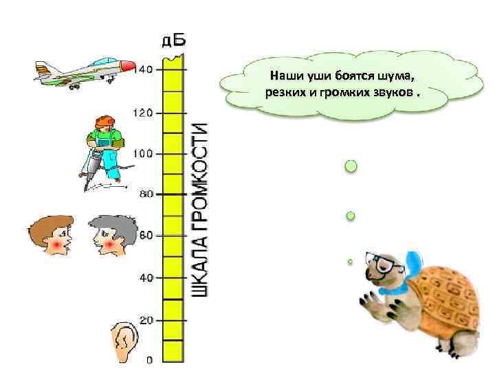  Наши уши боятся шума, резких и громких звуков. 