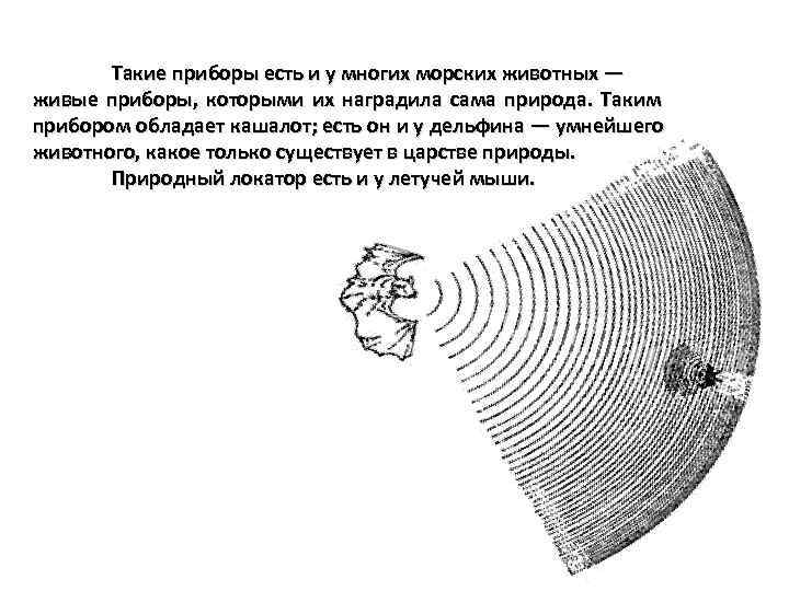   Такие приборы есть и у многих морских животных — живые приборы, которыми