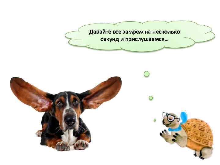 Давайте все замрём на несколько  секунд и прислушаемся… 