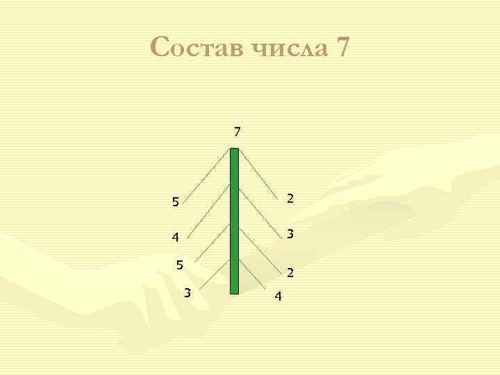 Состав числа 7  7 5    2  4  