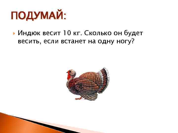 ПОДУМАЙ: Индюк весит 10 кг. Сколько он будет весить, если встанет на одну ногу?