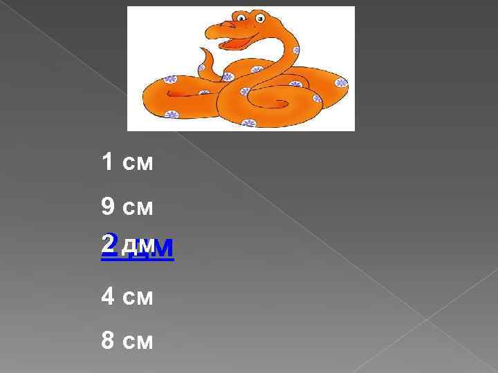 1 см 9 см 2 дм 4 см 8 см 
