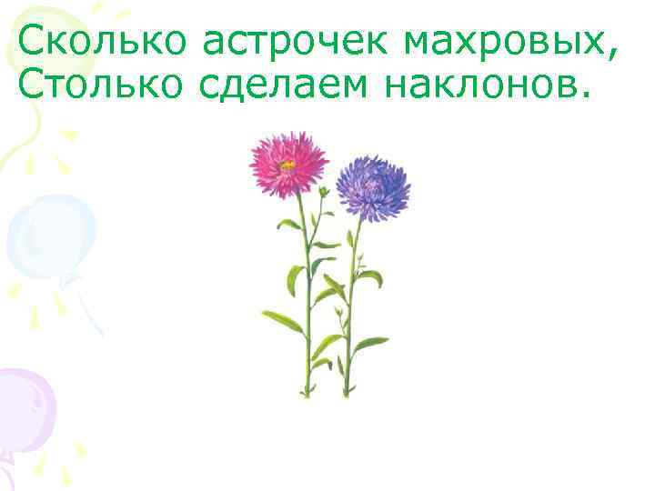 Сколько астрочек махровых, Столько сделаем наклонов. 