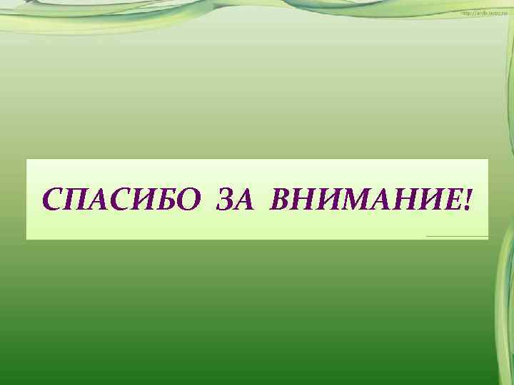 СПАСИБО ЗА ВНИМАНИЕ! 
