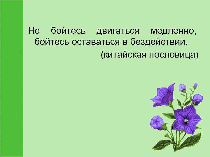 Не бойтесь двигаться медленно,  бойтесь оставаться в бездействии.   (китайская пословица) 