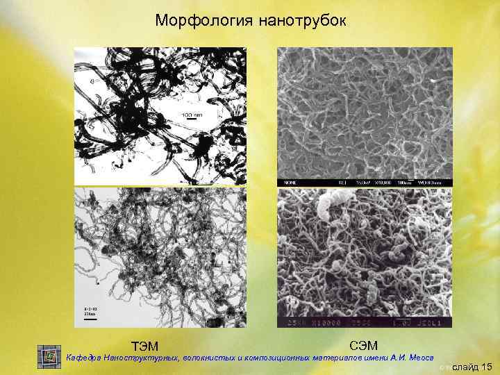 Морфология нанотрубок ТЭМ СЭМ Кафедра Наноструктурных, волокнистых и композиционных материалов имени А. И. Меоса