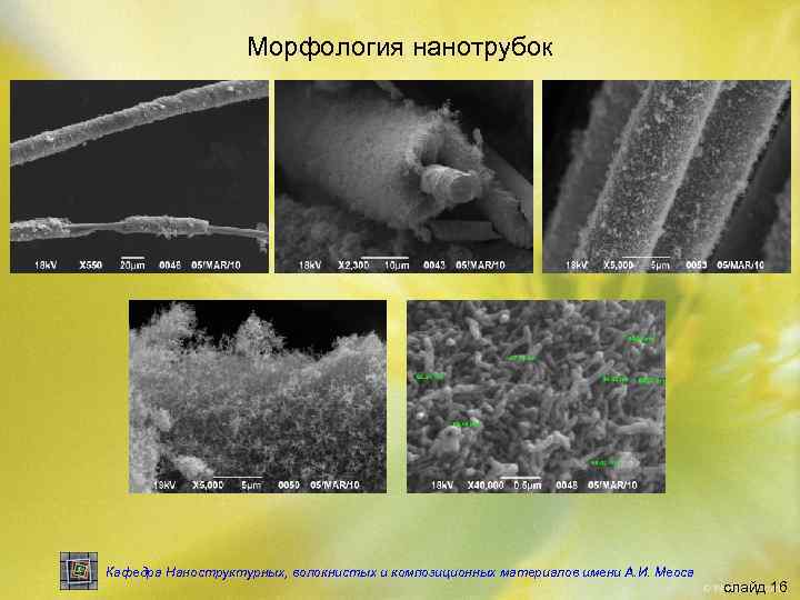 Морфология нанотрубок Кафедра Наноструктурных, волокнистых и композиционных материалов имени А. И. Меоса слайд 16