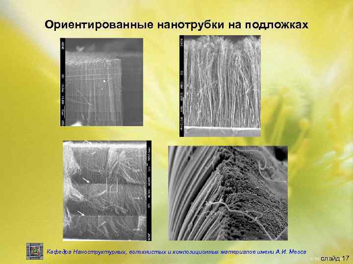 Ориентированные нанотрубки на подложках Кафедра Наноструктурных, волокнистых и композиционных материалов имени А. И. Меоса