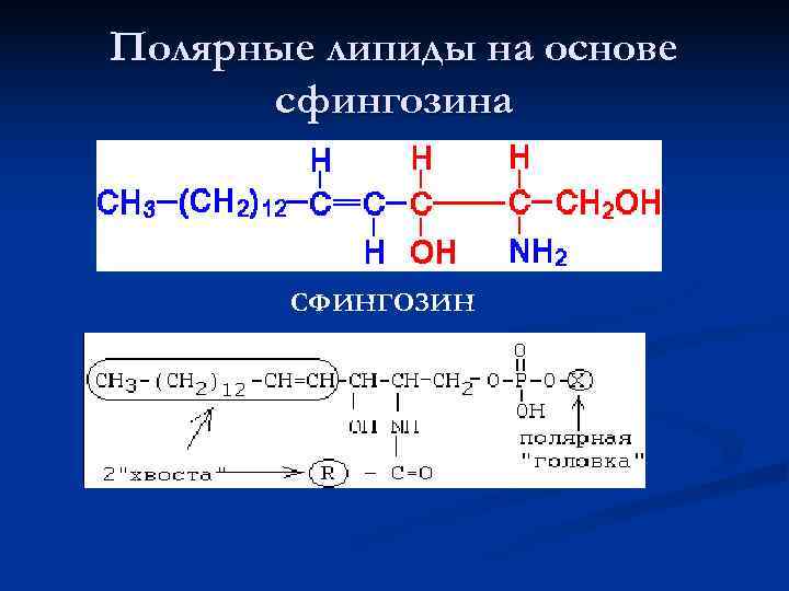 Полярные липиды на основе  сфингозина  СФИНГОЗИН 