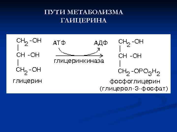 Глицерин образуется