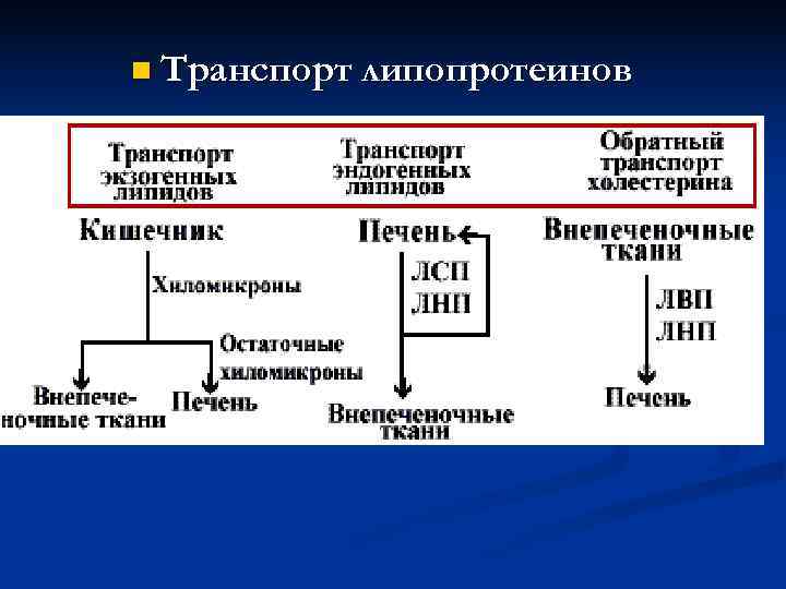 Проанализируйте таблицу классификация липидов