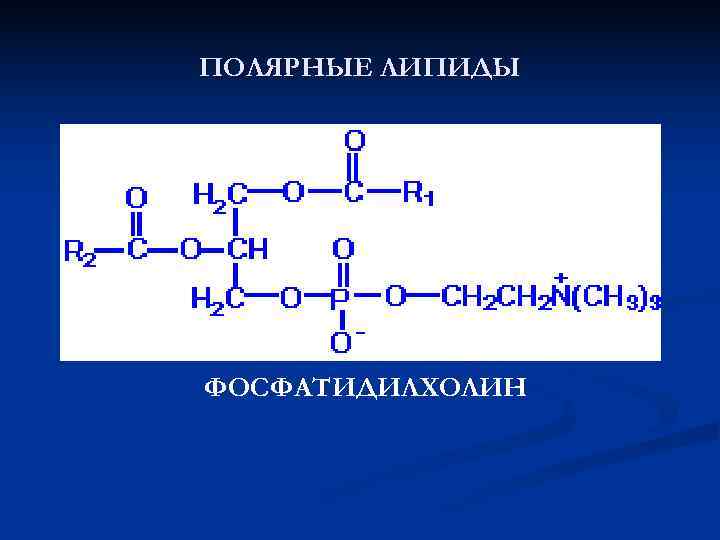 ПОЛЯРНЫЕ ЛИПИДЫ ФОСФАТИДИЛХОЛИН 