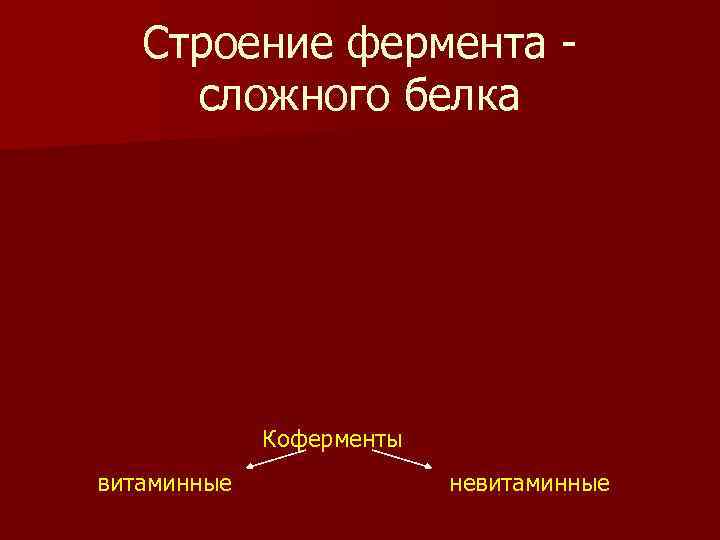   Строение фермента - сложного белка   Коферменты витаминные   