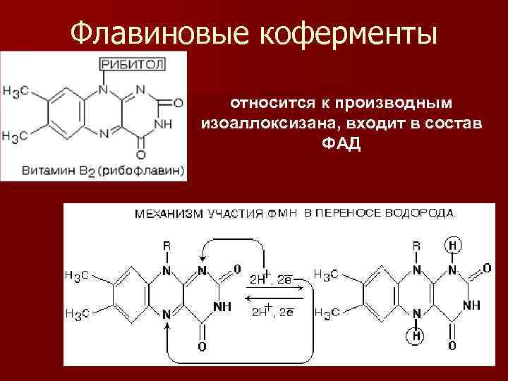 Флавиновые коферменты  относится к производным  изоаллоксизана, входит в состав   
